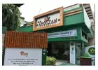 Best Ayurvedic Doctor in India Trusted Healing Expert