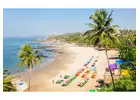 Thinking About Residential Plots in Goa? Here's Why Buyers Are Interested