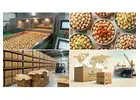Premium Roasted Makhana Manufacturer in Bihar for Bulk Supply