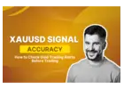 Best XAUUSD Signals Provider for Gold Traders