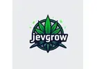 FREE Seeds with Every Order! Premium CBD Flowers & Grow Products