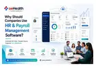 Why Should Companies Use HR & Payroll Management Software?