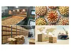 Premium Roasted Makhana Supplier in Bihar Bulk Order Available Best Export Qualit
