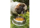 Order Fresh Dog Food near Me from thetailskitchen.com Today