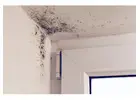 Lake Jocassee Repair Services | Water, Fire & Mold Removal