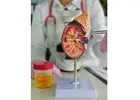 Kidney Doctor in Varanasi Expert Renal Care Clinic