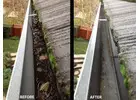 Economical Gutter Cleaning Sydney - Mario's Gutter Cleaning