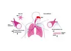 Respiratory Disease Research Services for Drug Development