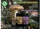 Premium Mushroom + CBD Gummies & Mushroom + Delta 9 THC Gummies