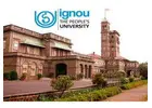 Premium Amity University Online Mba Program Guide 2026 Now