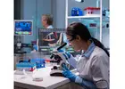 Genetic Testing for Breast Cancer | Womens Health Domain