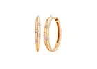 Shop Gold Earring for Women for Summer Season Style