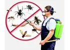 Industrial Pest Control Service in Jaipur for Safe & Hygienic Facilities