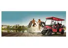Easy Golf Cart Booking for Anna Maria Island Travel