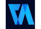 Company Valuation Consultants - Virtual Auditor Pvt Ltd 