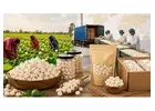 Premium Roasted Makhana Supplier in Bihar Bulk Order Available Best Export Qualit