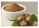 Choose Monk Nectar® for Premium Monk Fruit Extract Powder in India