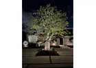 Outdoor Lighting in Miami