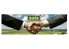 Buy a Business in Spain with Experienced Local Business Support
