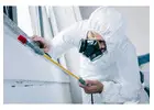 Bedbugs Pest Control in Jaipur for Fast & Reliable Treatment