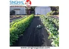 Strong Woven Fabric Ground Covers for Commercial Landscaping