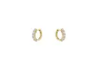 Buy Gold Earring for Women Online This Summer Season