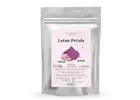 Lotus Petals