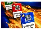 Buy Premium Double Platinum Blunt Wraps Online in the UK – KLiquid