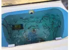 Advanced Live Bait Care Solutions for Cleaner, Healthier Livewells