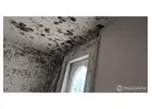 Easley Emergency Restoration Services | Water, Fire & Mold Repair