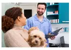 Veterinary teletriage