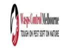Wasp Inspection Melbourne