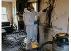 Lake Keowee 24/7 Emergency Water & Fire Damage Repair Experts